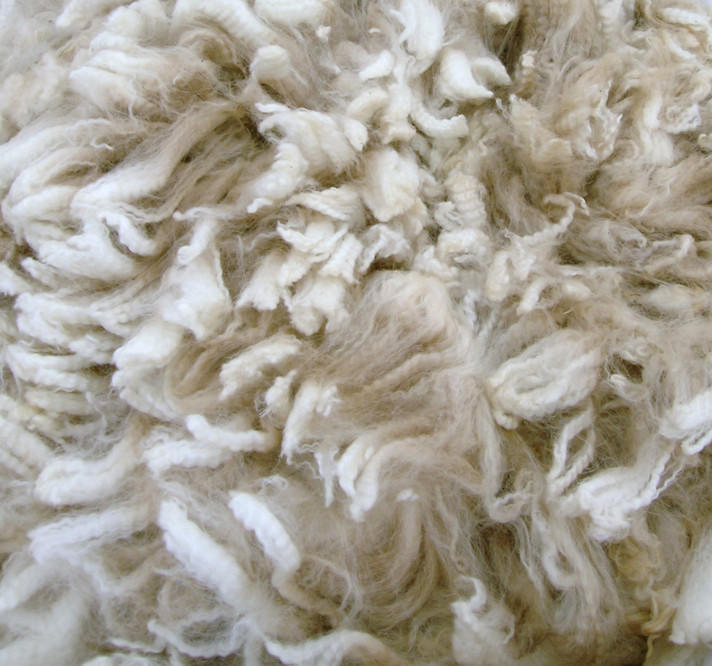 Eco-Efficient Wool Dry Scouring