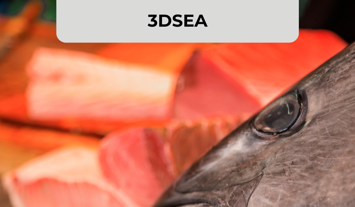 3DSEA
