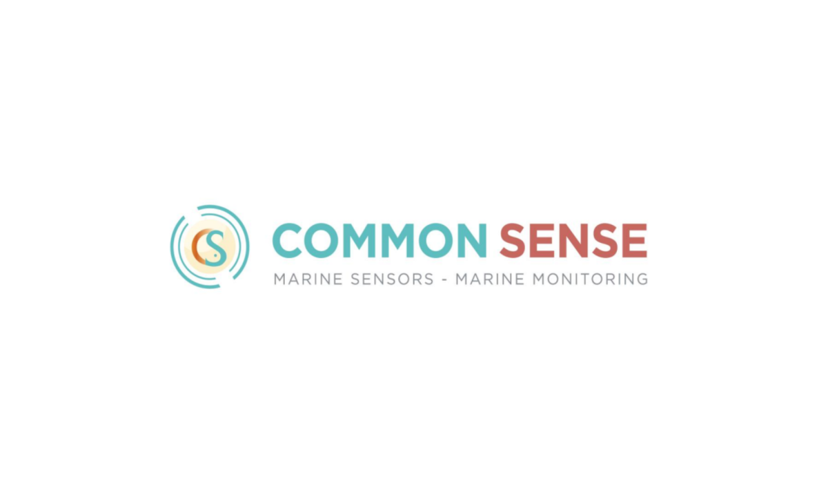 COMMON SENSE - Blog