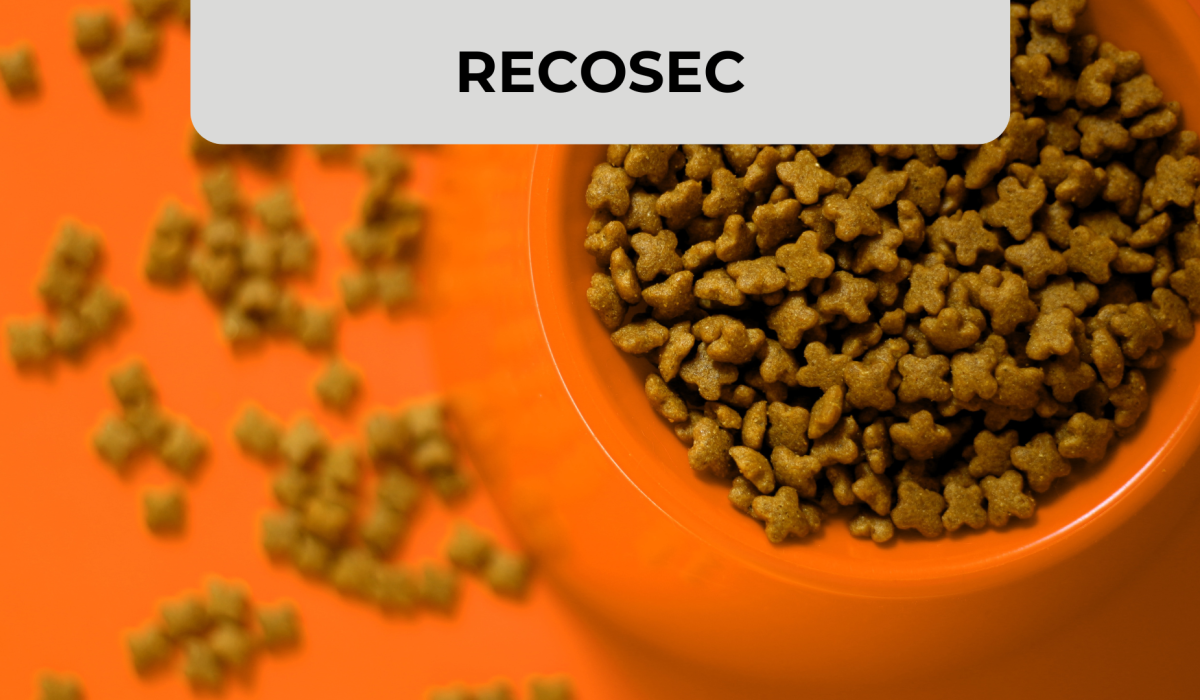 Diseño Miniatura Blog + Visual ZABAT (3)