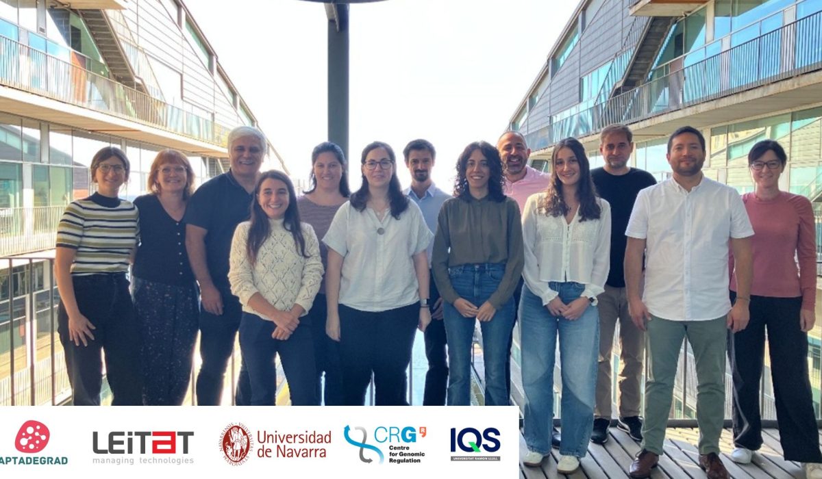 Diseño Miniatura Blog + Visual ZABAT (31)