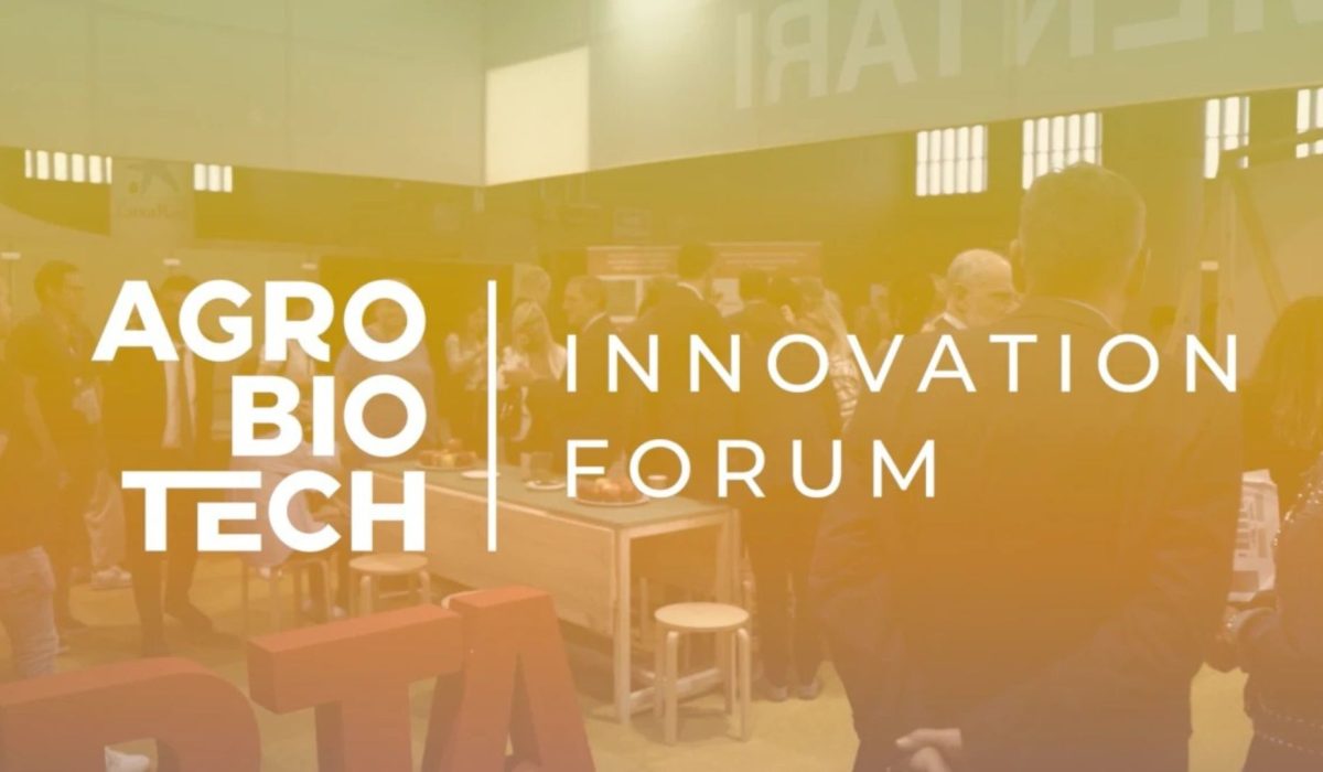 Diseño Miniatura Blog + Visual ZABAT (36)