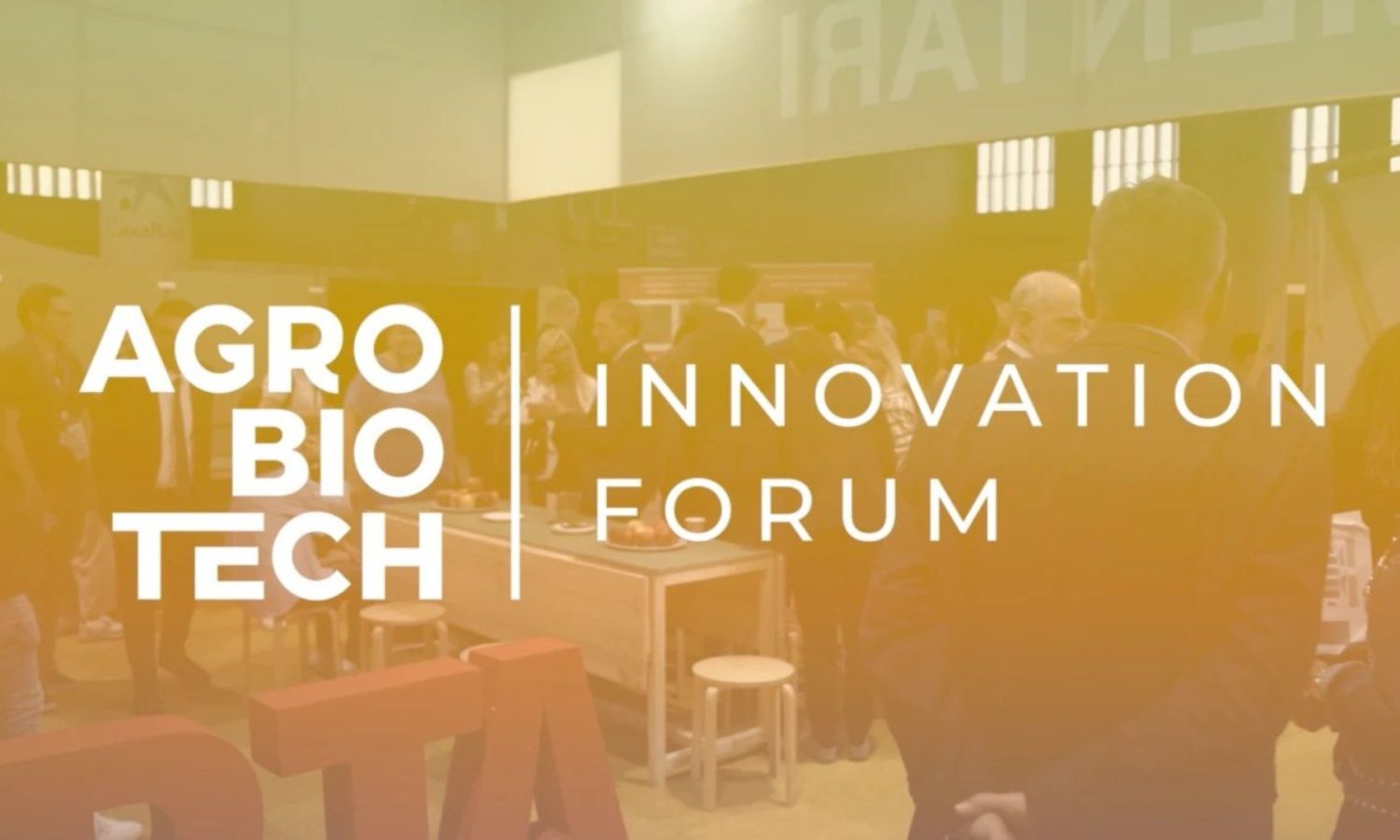 Diseño Miniatura Blog + Visual ZABAT (36)