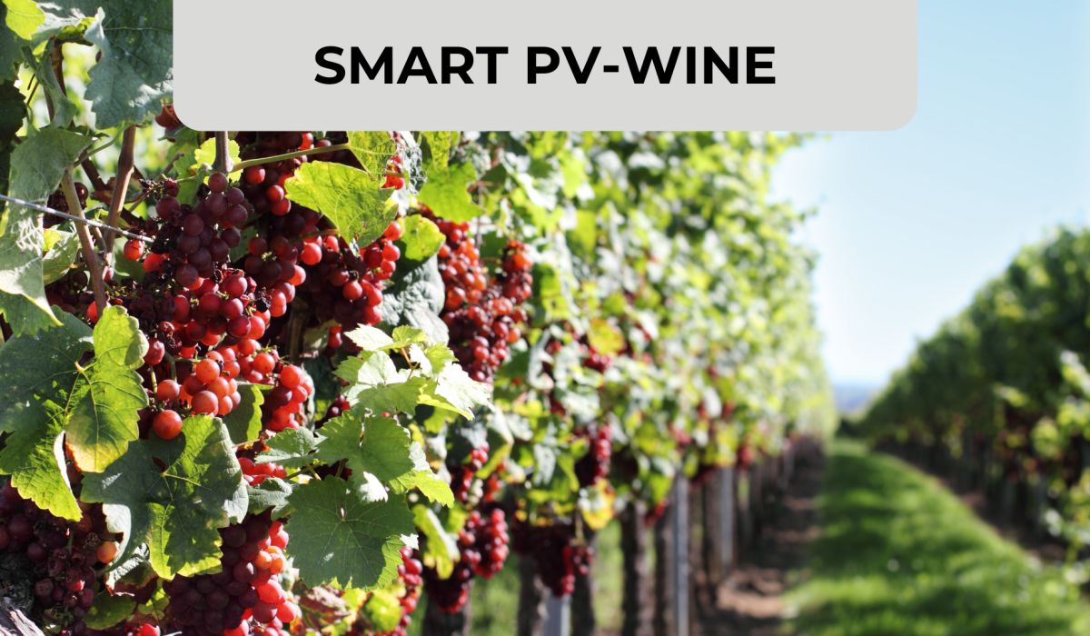 Diseño Miniatura Blog + Visual ZABAT (4)