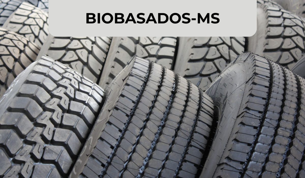 Diseño Miniatura Blog + Visual ZABAT (52)