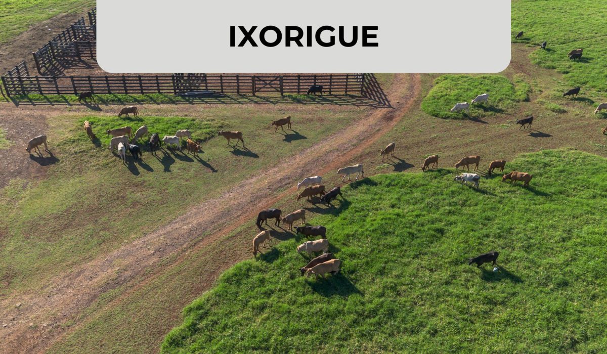 Diseño Miniatura Blog + Visual ZABAT (57)