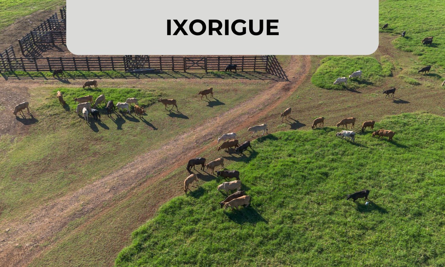 Diseño Miniatura Blog + Visual ZABAT (57)