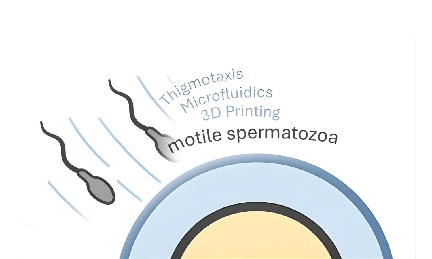 Diseño Miniatura Blog + Visual ZABAT (59)