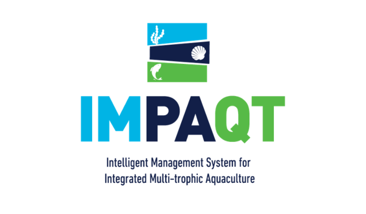 IMPAQT Logo