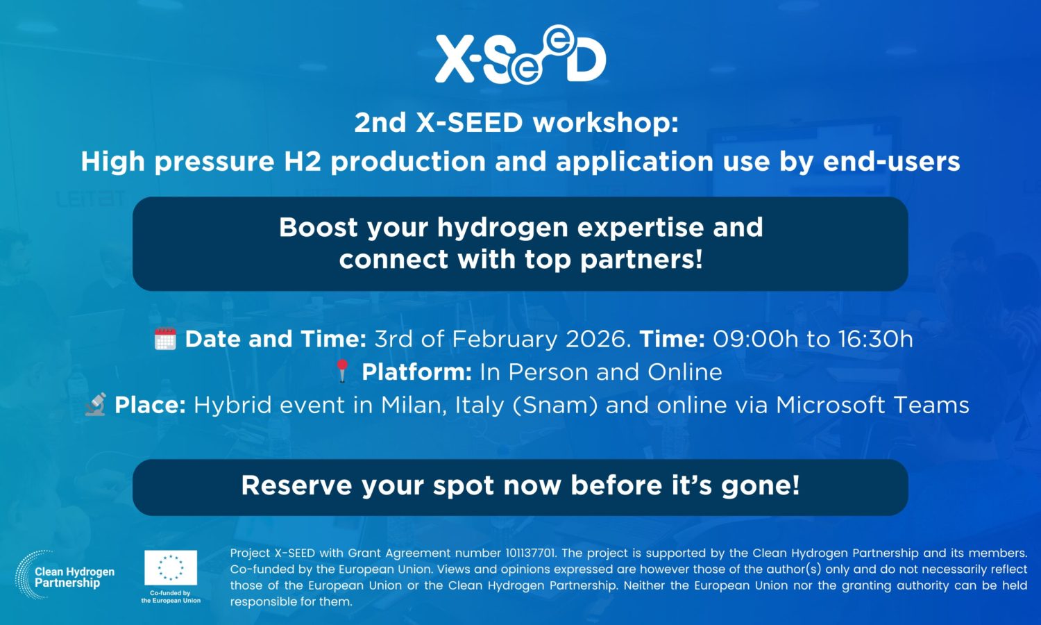 MINIATRUA-X-SEED_Daniel Marti Romero