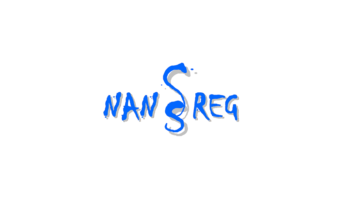 NANOREG · LOGO