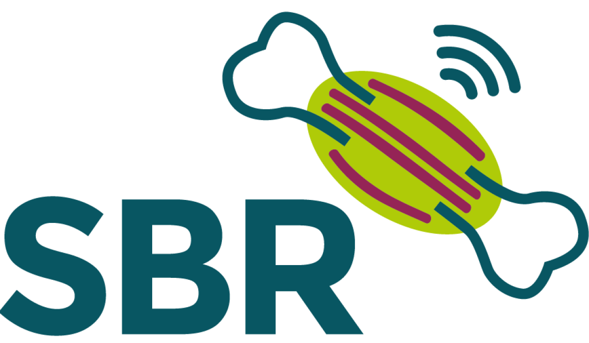 SBR project logo