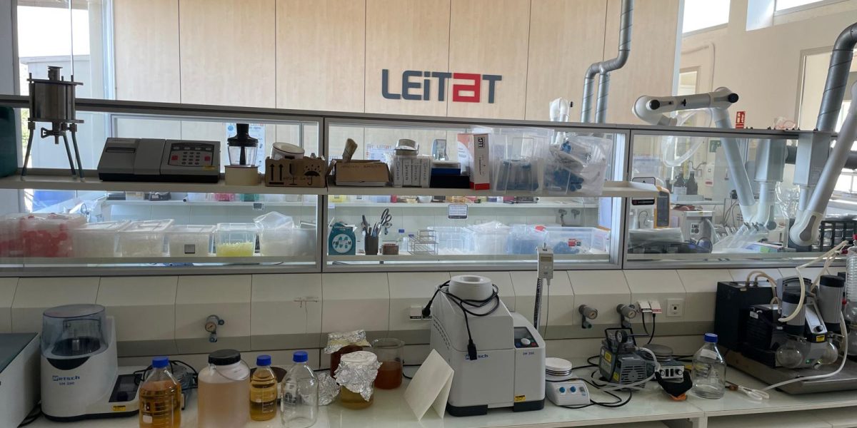 WhatsApp Image 2025-07-29 at 16.46.18 (4)