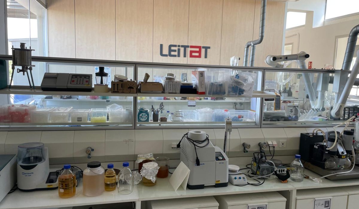 WhatsApp Image 2025-07-29 at 16.46.18 (4)