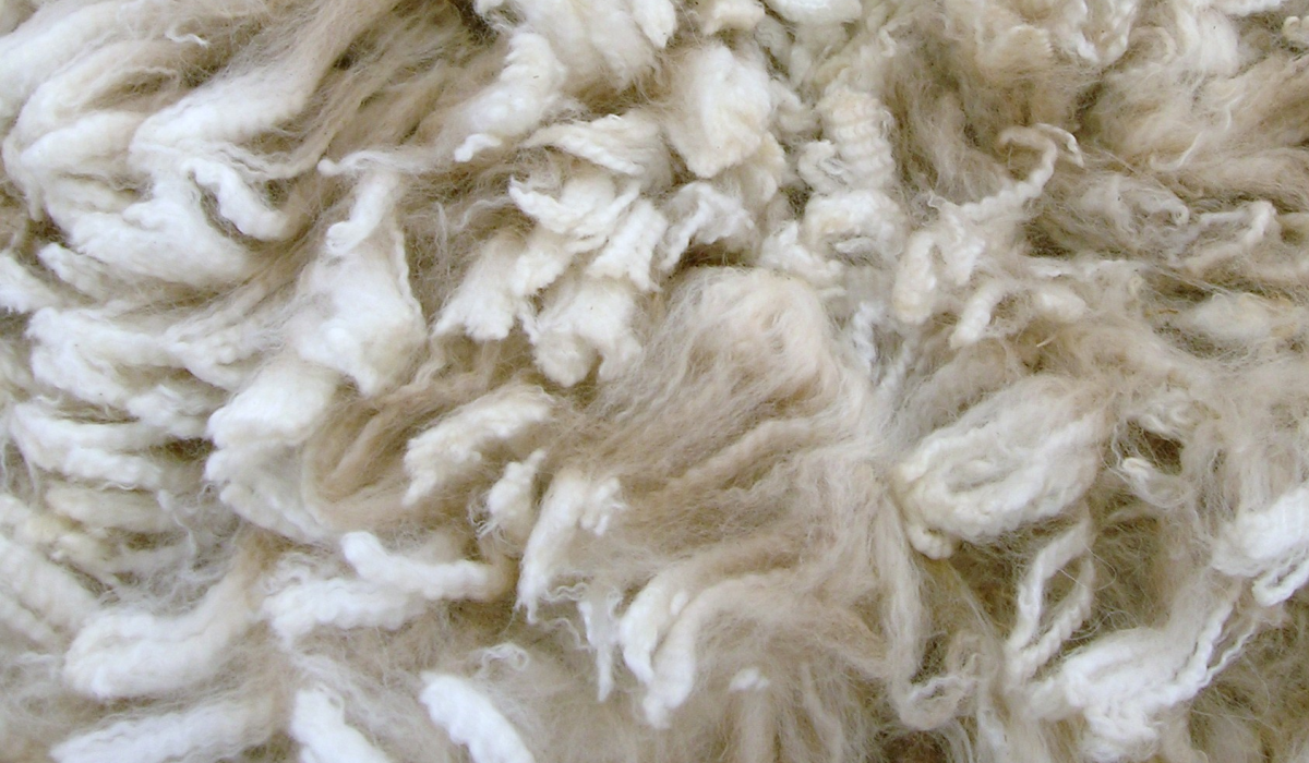 Wool