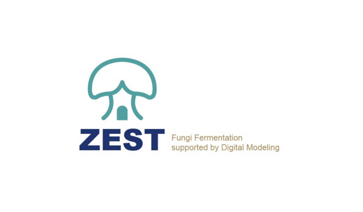 ZEST - Blog