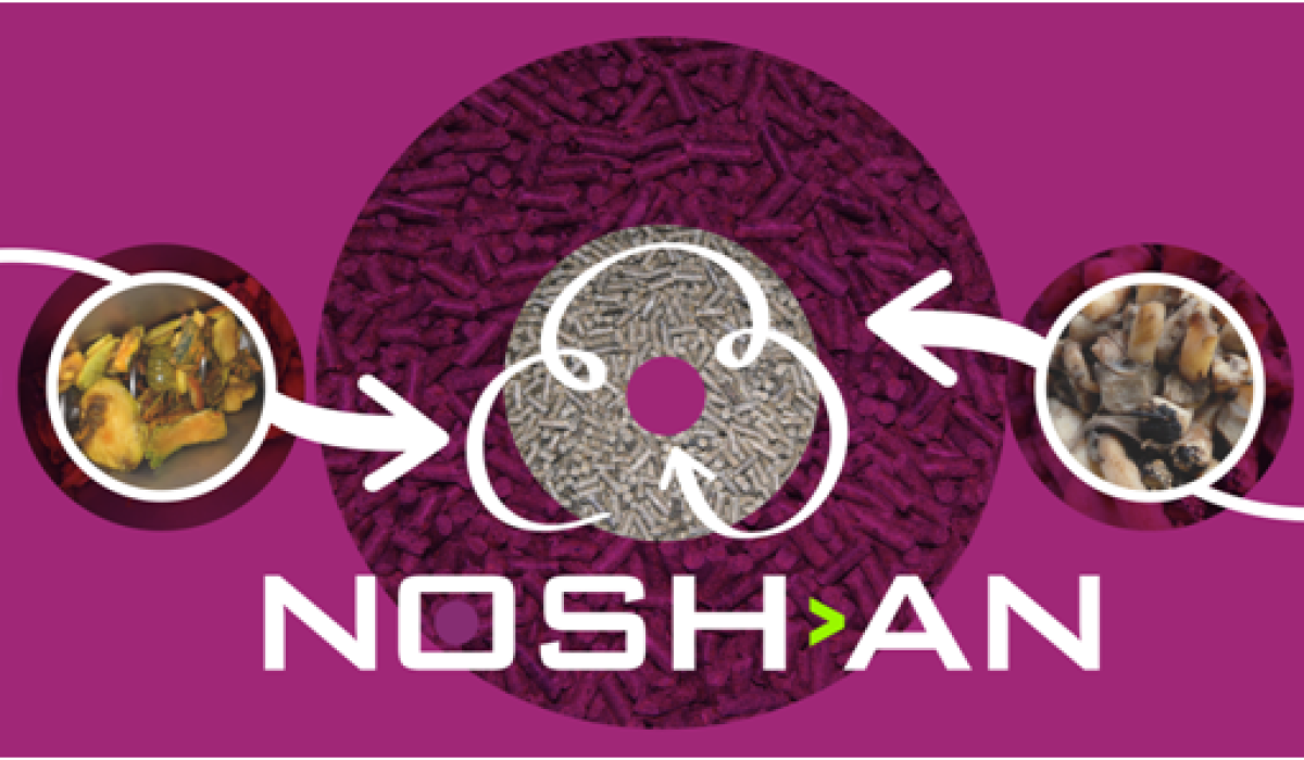 NOSHAN header