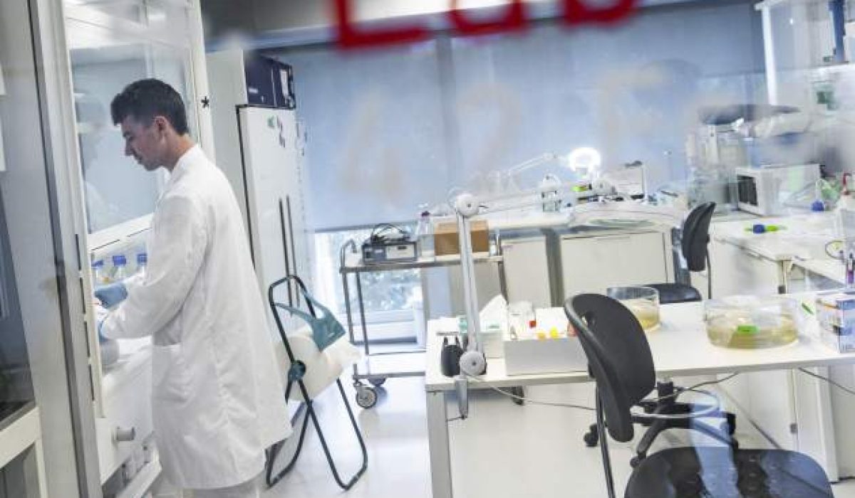 entreviusta-ceo-leitat-jordi-cabrafiga04_93_630x630