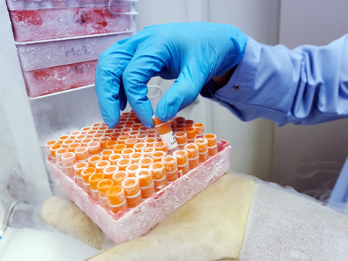 img-antibodies-0