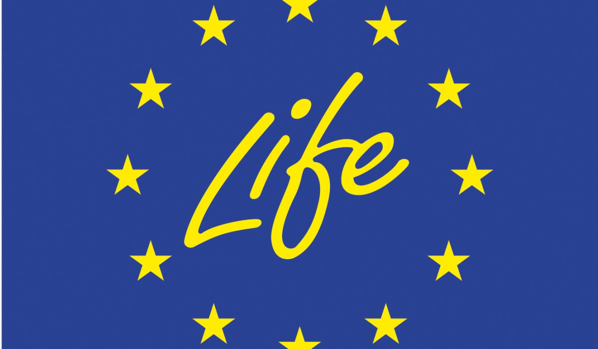 life_logo