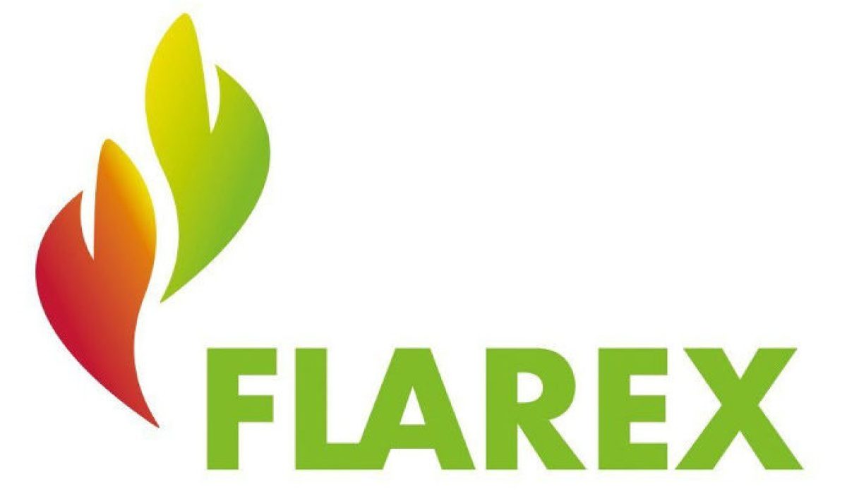 logo_flarex-1024x724-1024x724