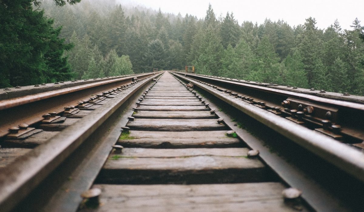 nature-forest-track-railway-railroad-bridge-734310-pxhere.com