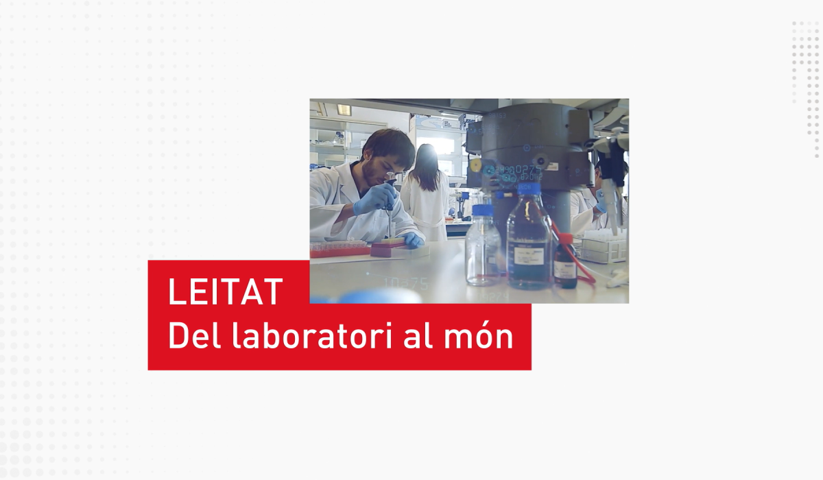 portada web